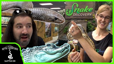 snake discovery youtube new videos